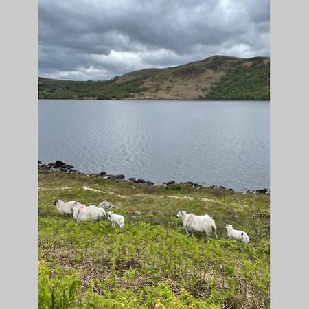 Red Fox Chalet On The Ring Of Kerry Glenbeigh Bagian luar foto