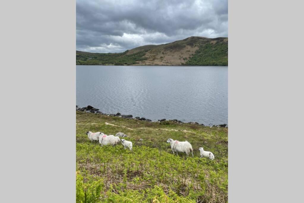 Red Fox Chalet On The Ring Of Kerry Glenbeigh Bagian luar foto